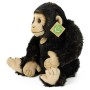 PLYŠ Šimpanz 27cm opice Eco-Friendly *PLYŠOVÉ HRAČKY*
