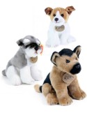 PLYŠ Pes 20cm sedící 3 druhy *PLYŠOVÉ HRAČKY*