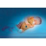 CLEMENTONI CLEMMY Baby kočička uklidňující usínáček vrní na baterie Zvuk