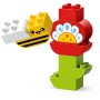 LEGO DUPLO Kreativní zahrada a květiny 10444 STAVEBNICE