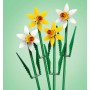 LEGO Narcisy 40747 STAVEBNICE