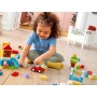 LEGO DUPLO Velký box s kostkami 10914 STAVEBNICE