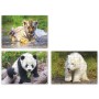 EFKO Puzzle 3v1 Mláďátka v ZOO skládačka foto 21x15cm