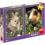 DINO Puzzle Králíček a morče 18x26cm skládačka 2x48 dílků