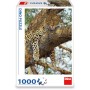 DINO Puzzle Levhart 47x66cm foto skládačka 1000 dílků