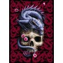 TREFL PUZZLE Fantasy Collection Orientální drak 48x68cm skládačka 1000 dílků