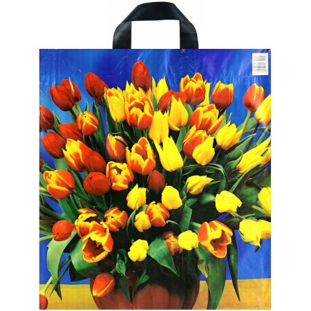 Taška igelitová s potiskem různé foto motivy 43x48cm s páskovým uchem