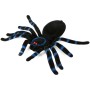 Zvířátko dekorace halloween pavouk velký na kartě plast