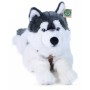 PLYŠ Pes husky s obojkem 60cm ležící Eco-Friendly *PLYŠOVÉ HRAČKY*