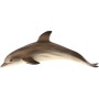 Delfín skákavý 12cm zvířátko plastová figurka Zooted