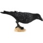 Vrána černá 11cm pták zvířátko plastová figurka Zooted
