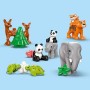 LEGO DUPLO Rodinky divokých zvířat 3v1 10446 STAVEBNICE