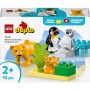 LEGO DUPLO Rodinky divokých zvířat: Tučňáci a lvi 10442 STAVEBNICE