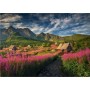 DINO Puzzle Gaseinicova dolina 66x47cm foto skládačka 1000 dílků v krabici