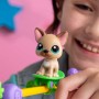 HASBRO LPS Zvířátka mají talent Zvířátko Littlest Pet Shop set 2ks s doplňky