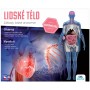 ALBI SCIENCE Lidské tělo průvodce anatomií lidského těla