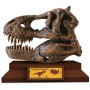 ALBI Science Lovci lebek Tyrannosaurus vykopej a vystav si lebku dinosaura