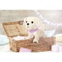 ZAPF Baby Born Můj veselý pejsek s boxem chodí štěká čůrá na baterie Zvuk