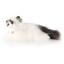 PLYŠ Kočka ragdoll 35cm ležící Eco-Friendly *PLYŠOVÉ HRAČKY*