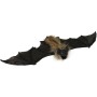 Netopýr zvířátko 40cm Halloween dekorace