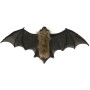Netopýr zvířátko 40cm Halloween dekorace