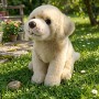 PLYŠ Pes labrador 23cm soft Eco-Friendly *PLYŠOVÉ HRAČKY*