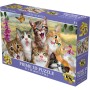 PUZZLE 3D Smějící se kočky 31x23cm 100 dílků skládačka v krabici