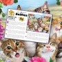 PUZZLE 3D Smějící se kočky 31x23cm 100 dílků skládačka v krabici