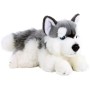 PLYŠ Pes husky 30cm ležící *PLYŠOVÉ HRAČKY*