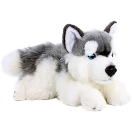 PLYŠ Pes husky 30cm ležící *PLYŠOVÉ HRAČKY*