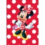 JIRI MODELS 100 samolepek s omalovánkami Disney Minnie Mouse