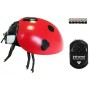 MAC TOYS RC Beruška 11cm na vysílačku lezoucí hmyz na baterie plast
