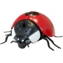 MAC TOYS RC Beruška 11cm na vysílačku lezoucí hmyz na baterie plast
