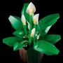 LEGO BOTANICALS Lopatkovec 11504 STAVEBNICE