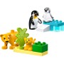 LEGO DUPLO Rodinky divokých zvířat: Tučňáci a lvi 10442 STAVEBNICE