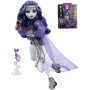 MATTEL MONSTER HIGH Panenka Monsterka Spectra Vondergeist s doplňky