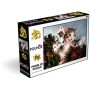 PUZZLE 3D Koťátko 31x23cm 100 dílků skládačka v krabici
