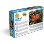 PUZZLE 3D Klaun očkatý 31x23cm 100 dílků skládačka v krabici