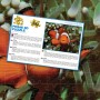 PUZZLE 3D Klaun očkatý 31x23cm 100 dílků skládačka v krabici