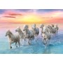 TREFL PUZZLE Stádo běžících běloušů 48x34cm skládačka 500 dílků