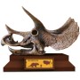 ALBI Science Lovci lebek Triceratops vykopej a vystav si lebku dinosaura