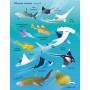 JIRI MODELS Samolepková knížka Žraloci a rejnoci 150 samolepek