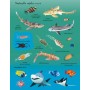JIRI MODELS Samolepková knížka Žraloci a rejnoci 150 samolepek