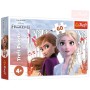 TREFL Puzzle Kouzelný svět Anny a Elsy Frozen 2 (Ledové Království) 33x22cm 60 dílků