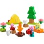 LEGO DUPLO Táboření 10452 STAVEBNICE
