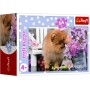 TREFL PUZZLE Mini Zvířátka mláďata 20x13cm 54 dílků skládačka 4 druhy