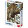 DINO Puzzle Levhart 47x66cm foto skládačka 1000 dílků