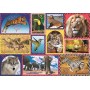 TREFL PUZZLE Animal Planet Divoká příroda 68x48cm skládačka 1000 dílků