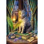 TREFL PUZZLE Magic Collection Kniha stínů 48x68cm skládačka 1000 dílků