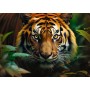 TREFL PUZZLE PREMIUM Divoký tygr 68x48cm skládačka 1000 dílků